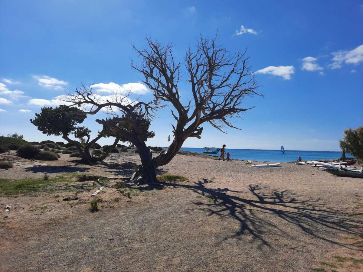 New Sea Escape Boutique Apt-Agii Aposto Li Beach Chania  Luaran gambar