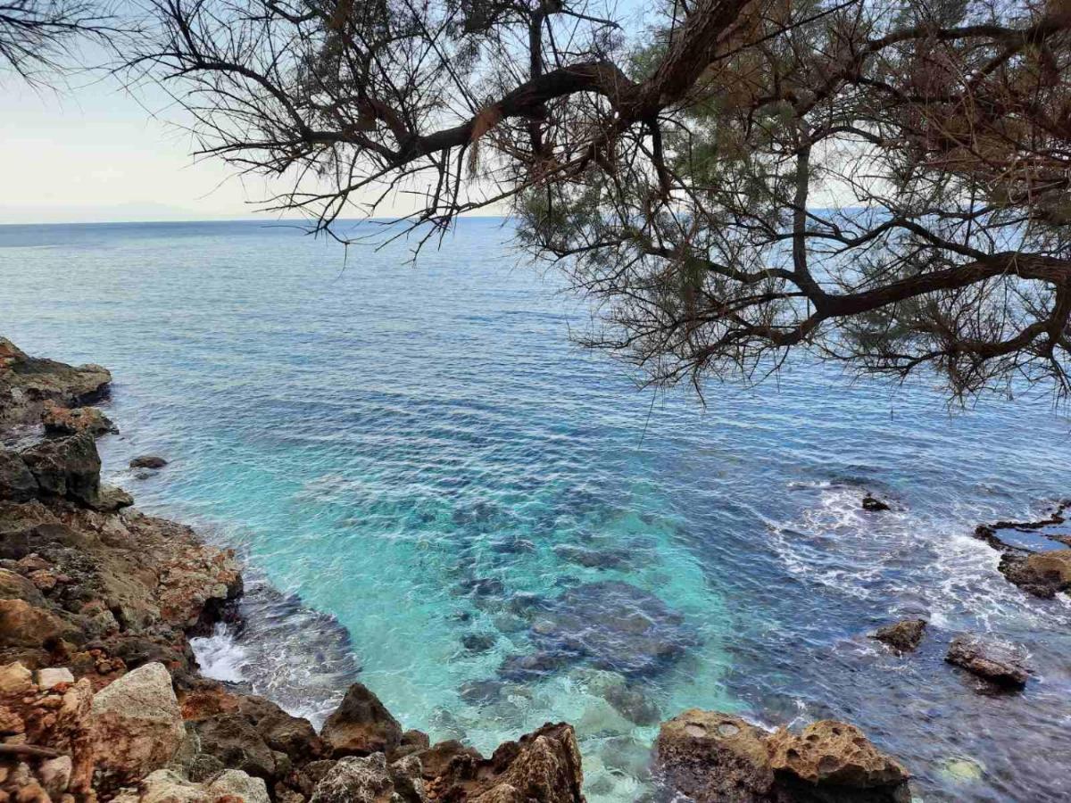 New Sea Escape Boutique Apt-Agii Aposto Li Beach Chania  Luaran gambar